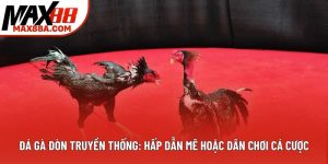 Đá Gà Đòn Truyền Thống: Hấp Dẫn Mê Hoặc Dân Chơi Cá Cược