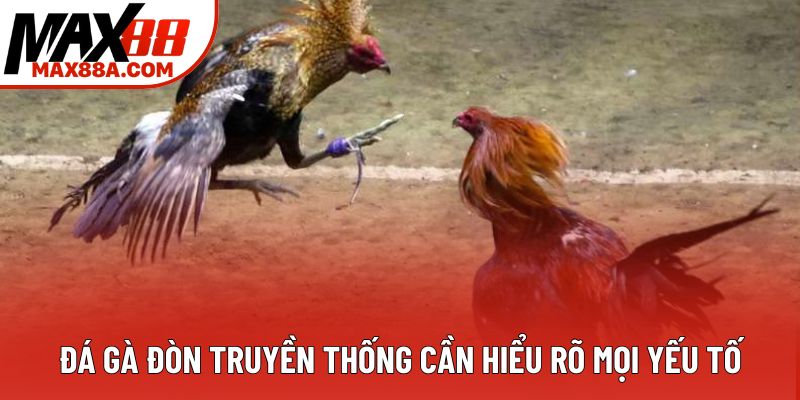 Đá gà đòn truyền thống cần hiểu rõ mọi yếu tố