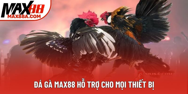 Đá gà Max88 hỗ trợ cho mọi thiết bị