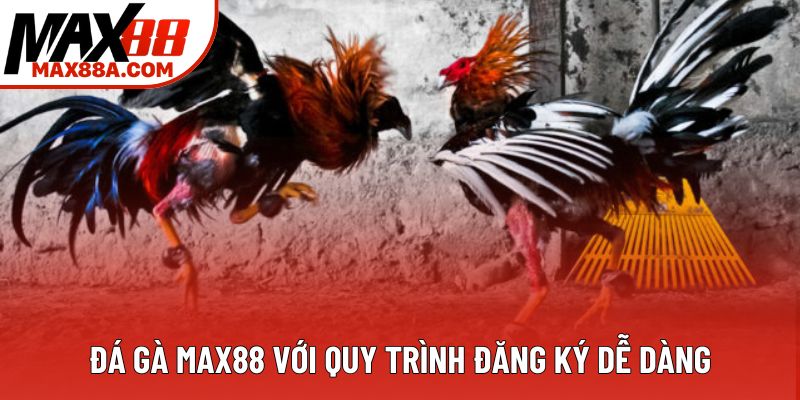 Đá gà Max88 với quy trình đăng ký dễ dàng