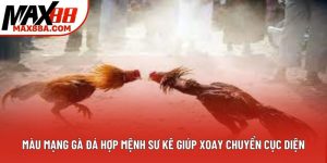 Màu Mạng Gà Đá Hợp Mệnh Sư Kê Giúp Xoay Chuyển Cục Diện