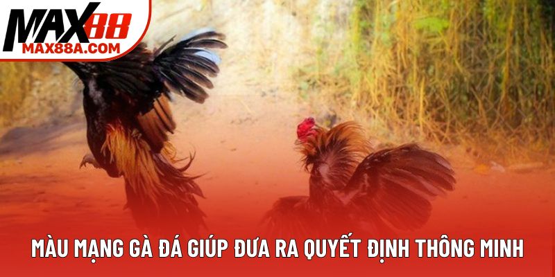 Màu mạng gà đá giúp đưa ra quyết định thông minh
