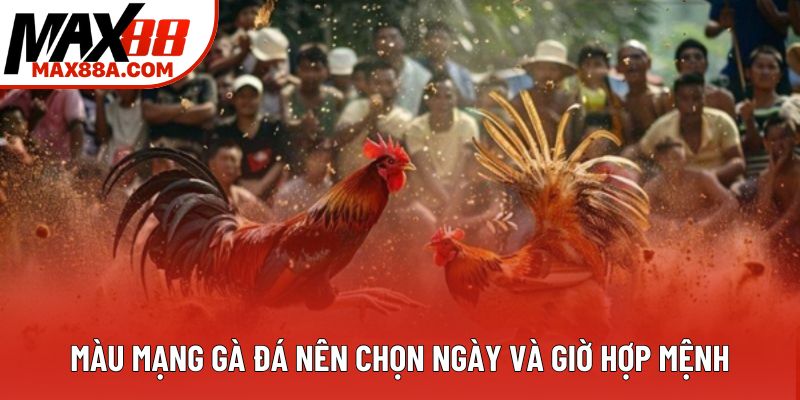 Màu mạng gà đá nên chọn ngày và giờ hợp mệnh