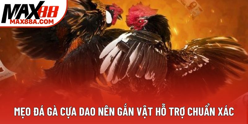 Mẹo đá gà cựa dao nên gắn vật hỗ trợ chuẩn xác