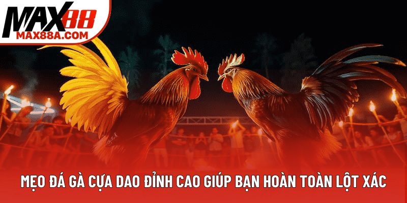 Mẹo Đá Gà Cựa Dao Đỉnh Cao Giúp Bạn Hoàn Toàn Lột Xác